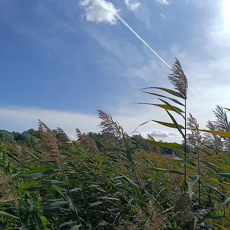 Jore-fewo In Bad Saarow, 50m Bis Zur Therme * Bad Saarow