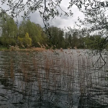 Jore-fewo In Bad Saarow, 50m Bis Zur Therme Apartment Bad Saarow