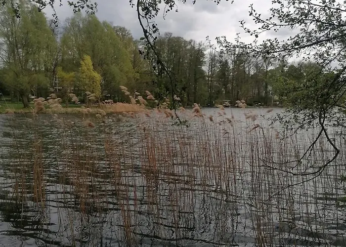 Jore-fewo In Bad Saarow, 50m Bis Zur Therme Lägenhet Bad Saarow