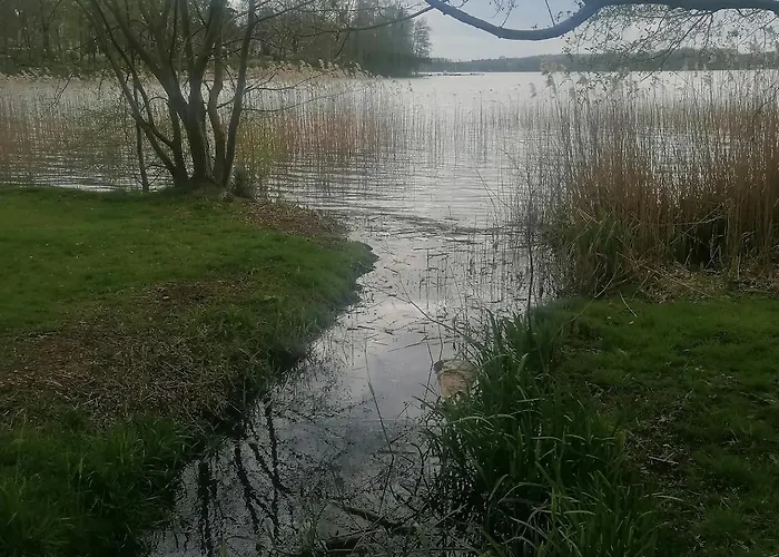 Jore-fewo In Bad Saarow, 50m Bis Zur Therme Lägenhet