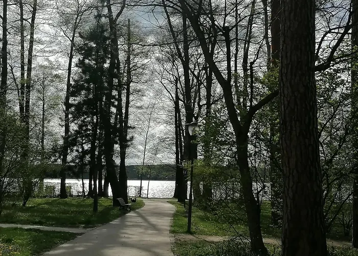 Jore-fewo In Bad Saarow, 50m Bis Zur Therme * Bad Saarow