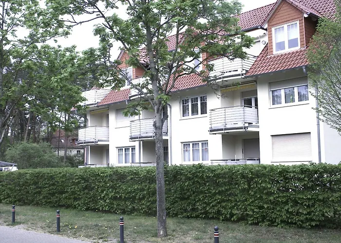 Jore-fewo In Bad Saarow, 50m Bis Zur Therme *